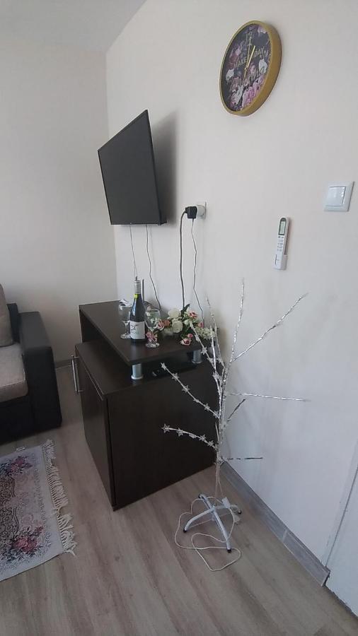 Rose&Water Guest house Pavel Banya Extérieur photo