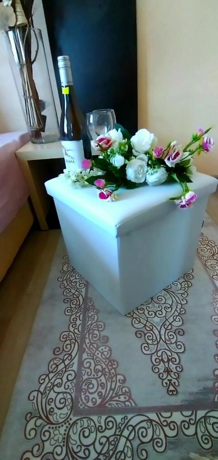 Rose&Water Guest house Pavel Banya Extérieur photo